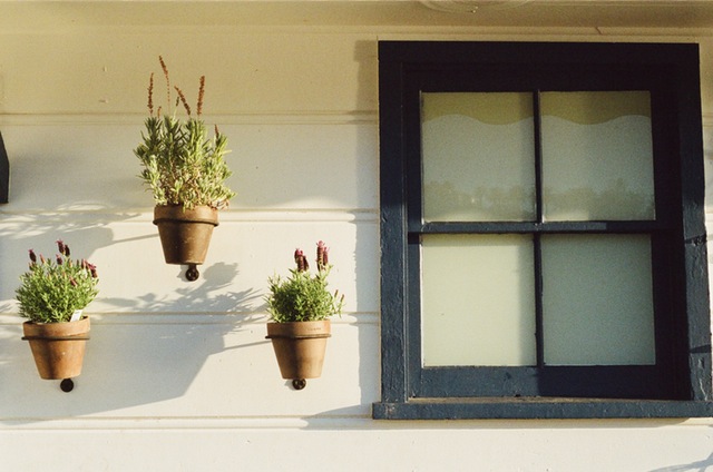 house-window-flowerpots.jpg